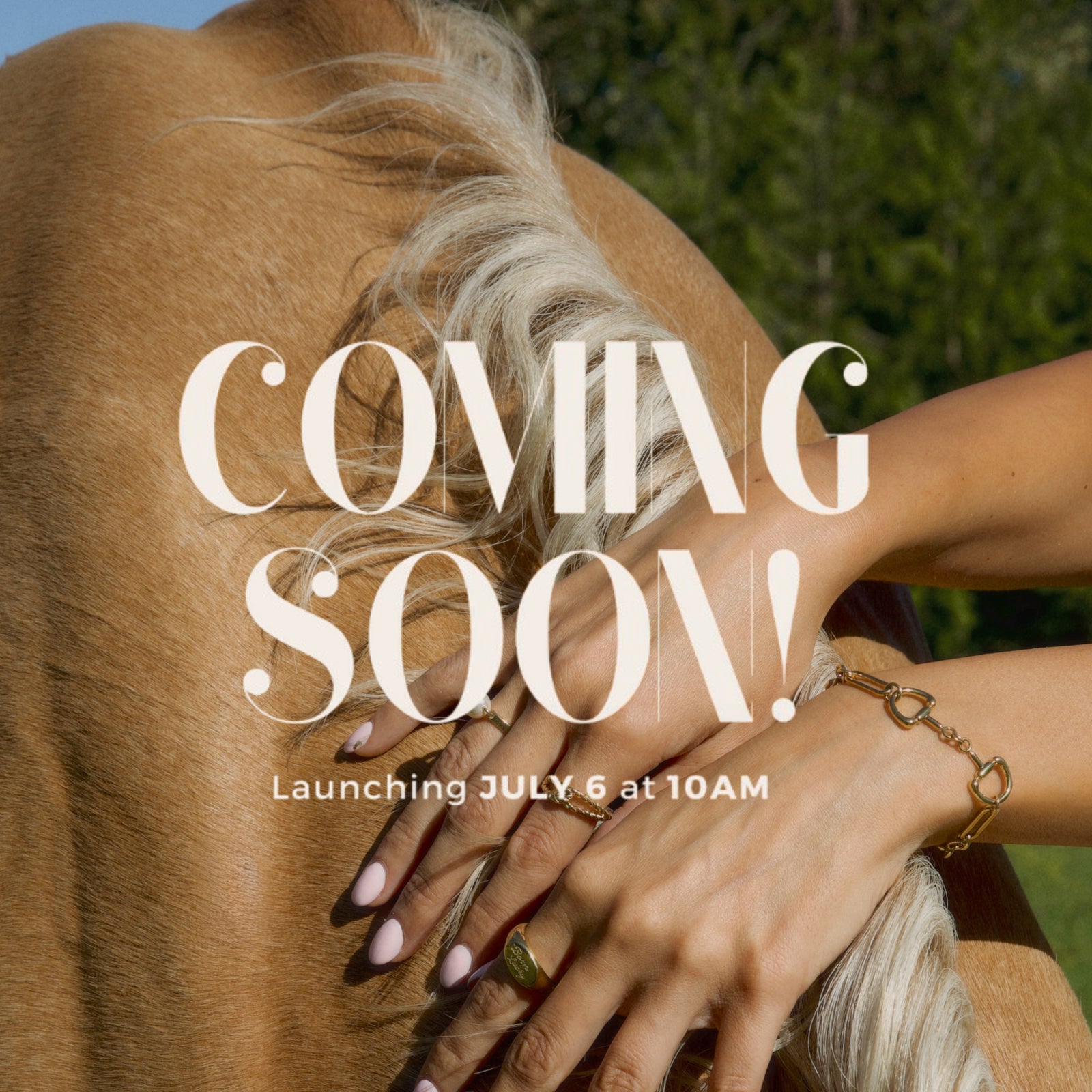 Giddy Up Bracelet