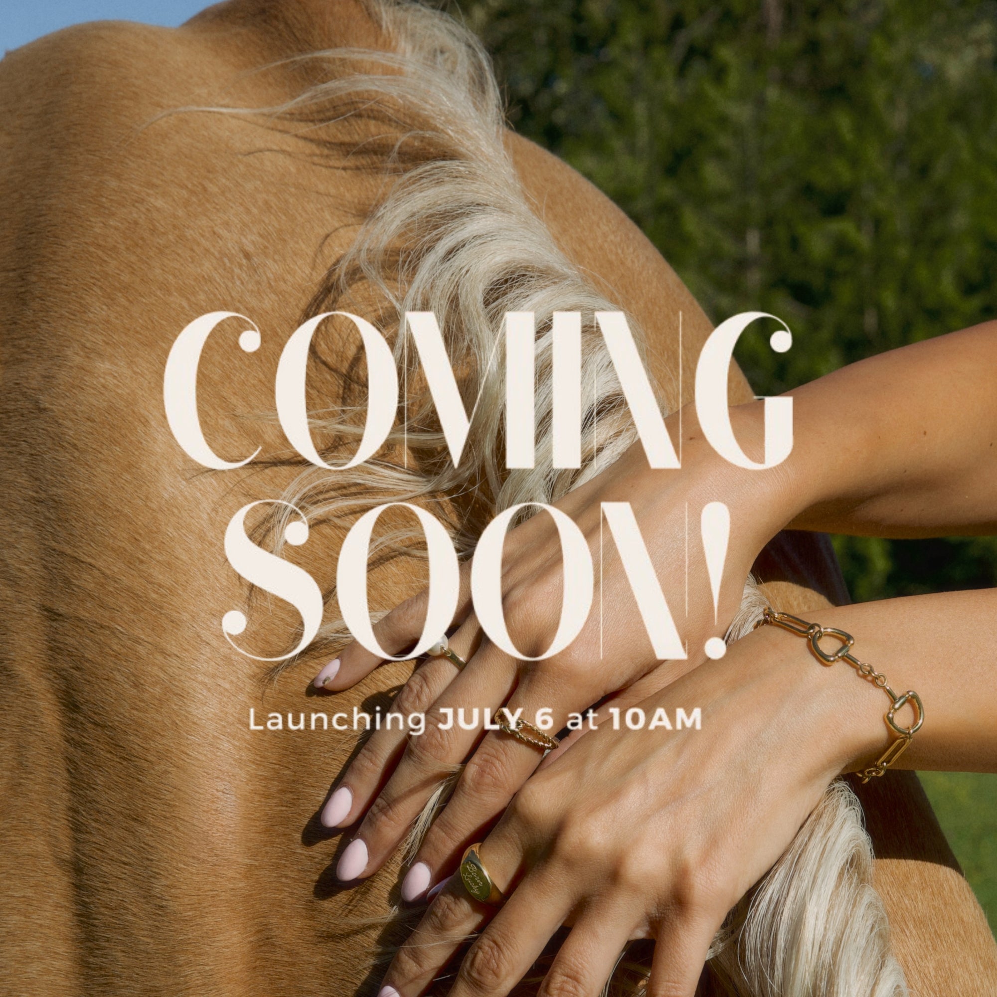 Giddy Up Bracelet